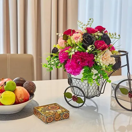 Sun Smile Daire Navodari